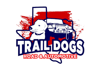 do an attention grabbing professional car or automobile logo