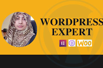 do wordpress theme installation and customizations