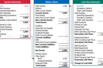 prepare income statement, balance sheet ,cashflow statement