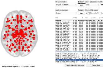 fmri preprocessing and network generation