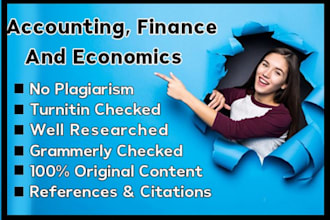write auditing, finance, economics essays and case studies