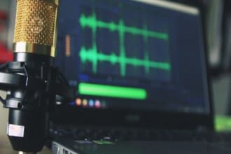 record  voice over, transcription and translation