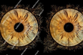 remove the background and watermarks from the photo
