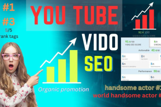do best youtube video SEO expert for organic ranking with vidiq and tubebuddy