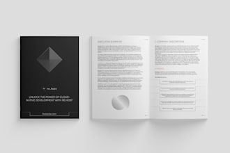 do business plan, brand book, brochure, portfolio design