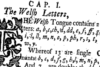 provide welsh translation, to or from
