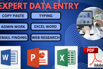 do data entry copy paste excel PPT word email  admin work
