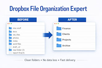 organize dropbox and migrate google drive to onedrive professionally