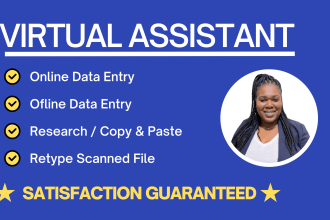 do data entry, copy paste, web research, and excel data entry