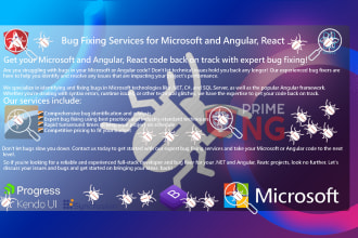 fix bugs and optimize dot net core and angular apps expert support