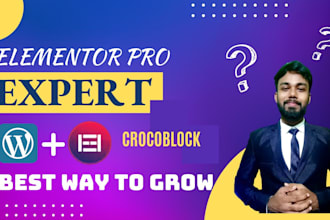 design and develop a wordpress website using elementor pro and crocoblock