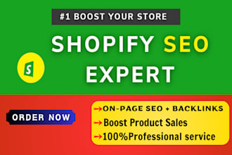 advance shopify SEO website optimization for skyrocket sales