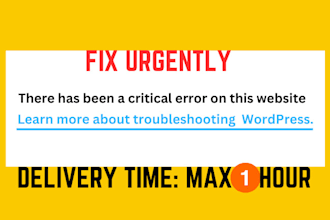 fix there has been a critical error on your website quickly