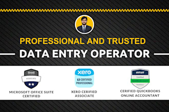 professional data entry services