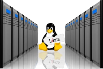 setup and fix cpanel, aws, digitalocean linux server issues