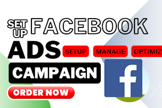 setup facebook ads campaign, fast instagram organic growth