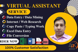 do any virtual assistant for data entry and web research job