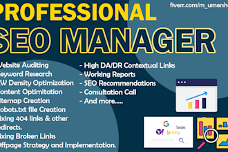 be your SEO manager and boost your website rankings
