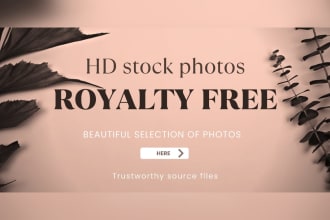 provide beautiful royalty free photos