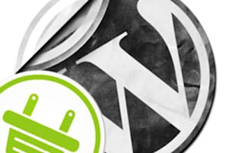 send you 20 Wordpress plugins we have coded to help you extend the functionality of your WordPress site