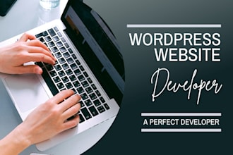 be a perfect wordpress website developer