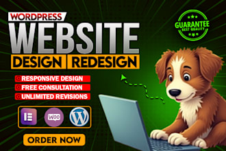build responsive professional wordpress website design or blog website