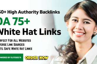 250 SEO backlinks high da authority link building service for google ranking