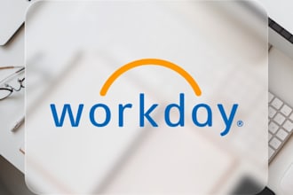 be your workday consultant