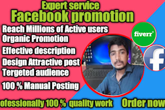 facebook promotion, professionally  USA UK