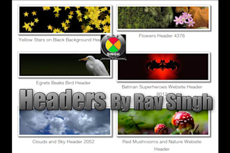 wordpress,website Header, Banner within 24 hours