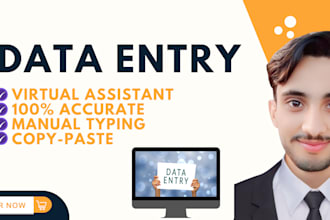 do fastest data entry in 1 day and copy paste
