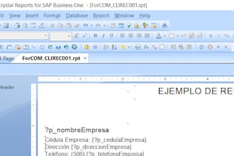 consultor de software erp