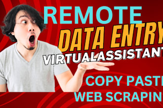 do remote data entry, copy paste any types of industries