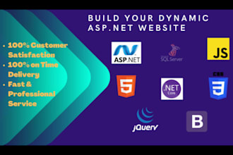 build website design, asp dot net mvc website development