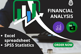 do financial analysis of any company