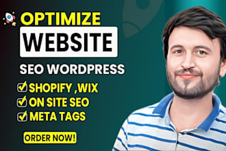optimize website seo for wordpress, shopify and wix