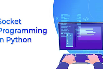 python socket programming expert for network applications