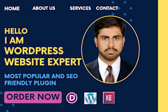 be your divi expert for professional wordpress divi website and divi theme