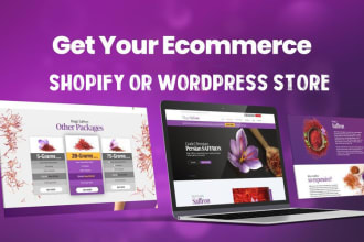 build shopify store or dropshipping ecommerce store