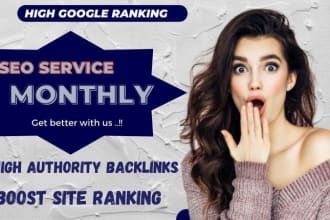 provide complete monthly SEO service for top google ranking
