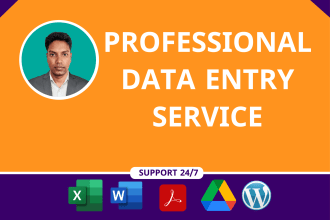 do excel data entry web research copy paste and pdf to excel work