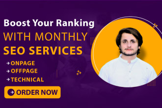 provide complete monthly SEO service with high authority backlinks