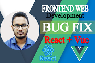 do react vue frontend bug fixing and UX UI updates and responsive design