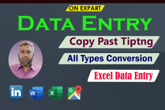 do typing copy paste excel word and web recharge data entry