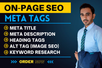 write SEO meta titles, meta descriptions, h1, and alt tags for your website