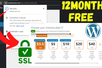 setup or host your wordpress in AWS lightsail plesk with SSL