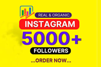 do marketing or promotion for fast organic instagram growth