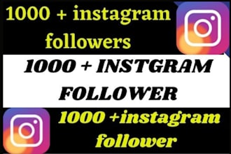 do marketing or promotion for fast organic instagram growth