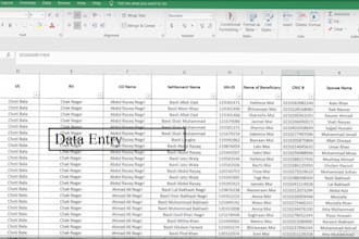 do accurate data entry in low price within short time period