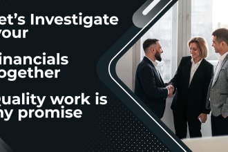 provide financial investigator services in your company